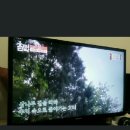 보헤미안 민박 이미지