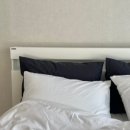 스테이다랑쉬 이미지