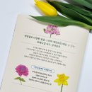 봄맞이 꽃그림 보태니컬 아트 이미지