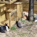 학기농장 이미지