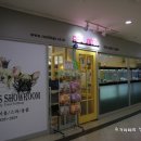 리얼독스쇼룸