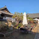 딸기애견 이미지