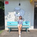 소나무 흑염소 목장 이미지