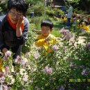 늘푸른숲 이미지