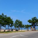 GS25낙산비치점 네이버블로그