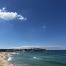 또오고마라탕 경산시지점 | [시드니🇦🇺] 시드니 혼자여행 맛집 &amp; 카페 추천 (브런치, 라떼 맛집)