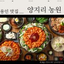 양지리 농장 | [용인 맛집] 용인 닭갈비 전문점 양지리 농원 본점 방문 솔직 후기 (단체룸 구비)