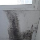 용산-현장-1072 이미지