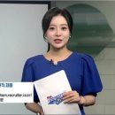 (주)피타원