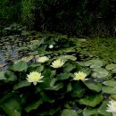 등대회관 이미지