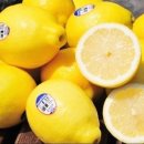 레몬과 오렌지 이미지