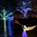 일영랜드 이미지