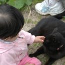 영환목장 이미지