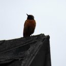 수토산방 이미지