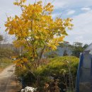 명자농장 이미지