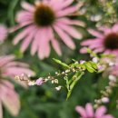 아버지농장 이미지