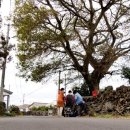 저지리 경로당 이미지