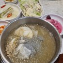 갈비꽃광교