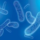 엑셀휘트니스 이미지