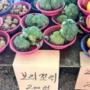 마~니밀린 오랜만에 내일상 무려 3,4,5월 ㅇ.ㅇ!