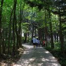 기산마을 정자 옆 이미지