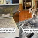 강아지랑나랑 이미지