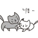 와일드플로어 네이버블로그