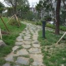 신촌숲 2 이미지