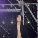 어나니마우스