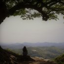 부여 가볼만한곳 부여 사랑나무 성흥산성 사랑나무 서동요 테마파크
