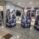 현대용체육관 | 11/15일 김천실내체육관 직관 후기 도로공사배구단 VS 현대건설 S1좌석 경기 리뷰