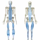 서부정형외과의원 이미지