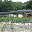 두환농장 이미지