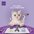 렌탈요 쿠키뉴스
