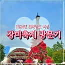 분동농장1 | 곡성 장미 축제 방문기; 근처 맛집 포함_2024년 05월 25일