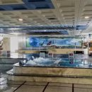 마금산원탕보양온천 이미지