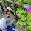 [🌷고운꽃잎반] '수통골'로 숲활동을 갔어요🧚‍♀️🕸️🌿 이미지