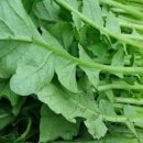 구성농장 이미지