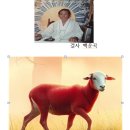 2027년 토정비법 🐏 이미지