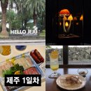 제주늘보의오후 | [제주] 혼자 떠나는 제주 동쪽 여행 1일차 ㅣ 늘보의 작업실, 소심한 책방, 유민 아르누보 뮤지엄