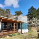 숲속 나들이 펜션 이미지