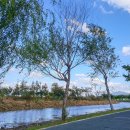 갈맷길6-1구간 이미지