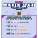 미소애견샵 이미지