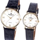 에버그린 이미지