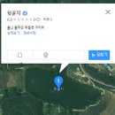 뒷골지 Daum카페
