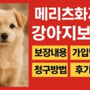 강아지 나라 | 메리츠화재 강아지보험 [보장내용, 가입방법, 청구방법, 후기 등]