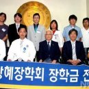 광혜메디칼 뉴시스