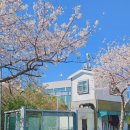 서호동 새마을금고 앞 이미지