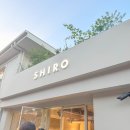 시로뷰티 | 향수 브랜드인 줄만 알았는데, 성수에서 생각이 바뀐 시로(SHIRO) 방문 후기