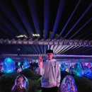 유리카모메 이미지